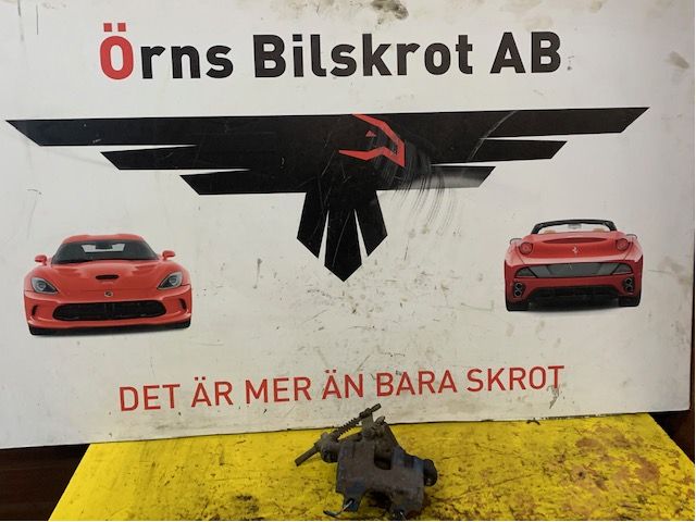 Jarrusatula taka vasen