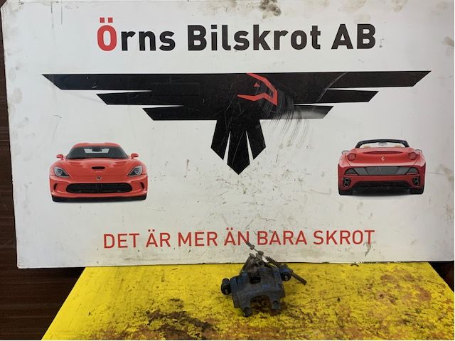 Jarrusatula taka oikea
