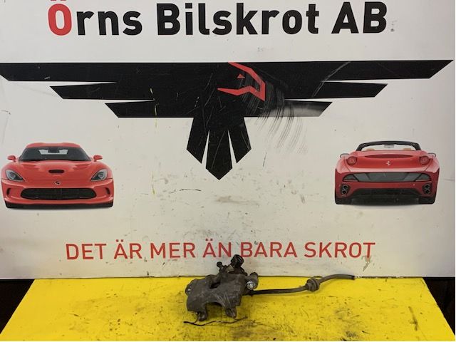 Jarrusatula taka oikea