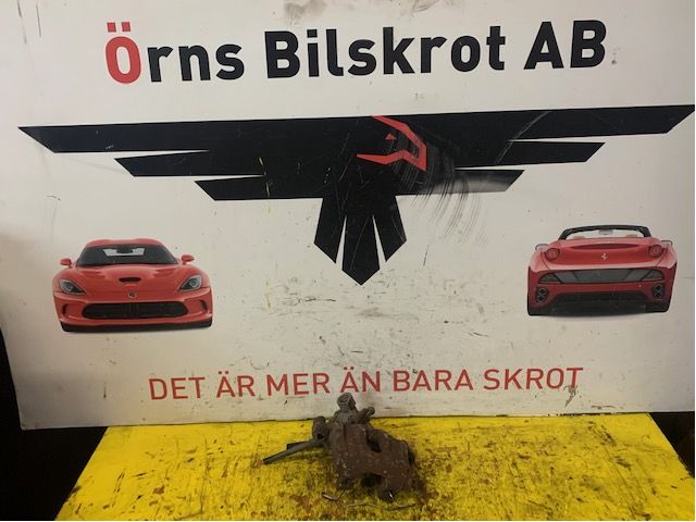 Jarrusatula taka vasen