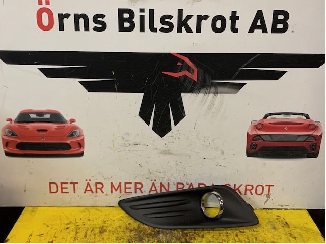Fog light surround front