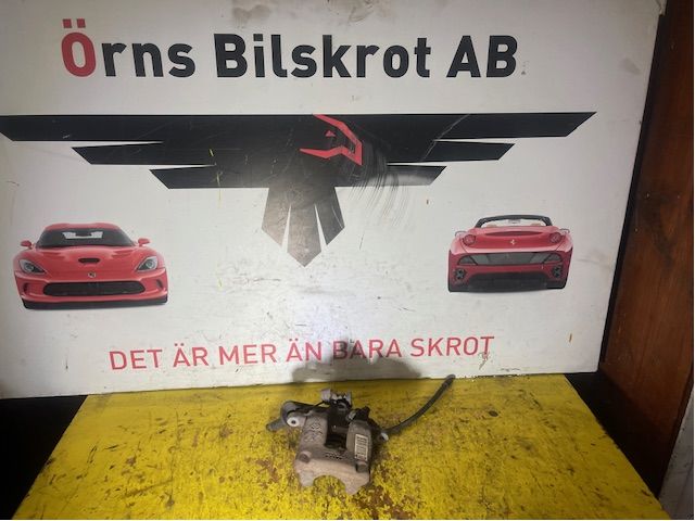 Jarrusatula taka oikea