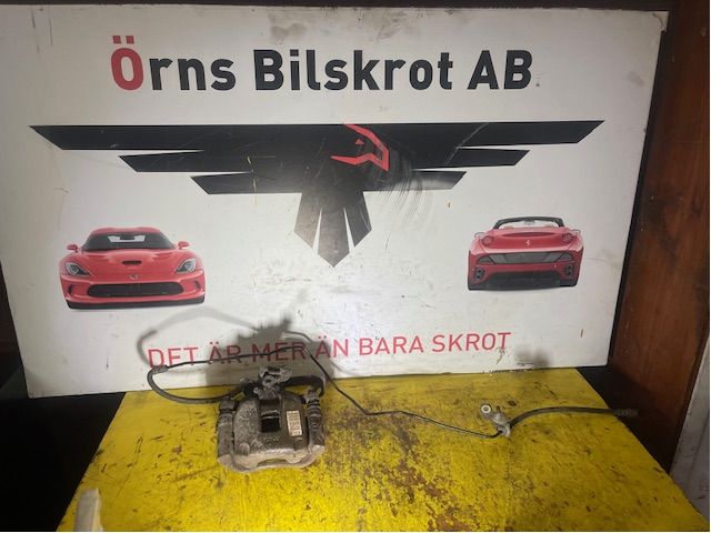 Jarrusatula taka vasen