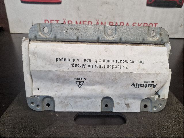 Airbag passenger airbag