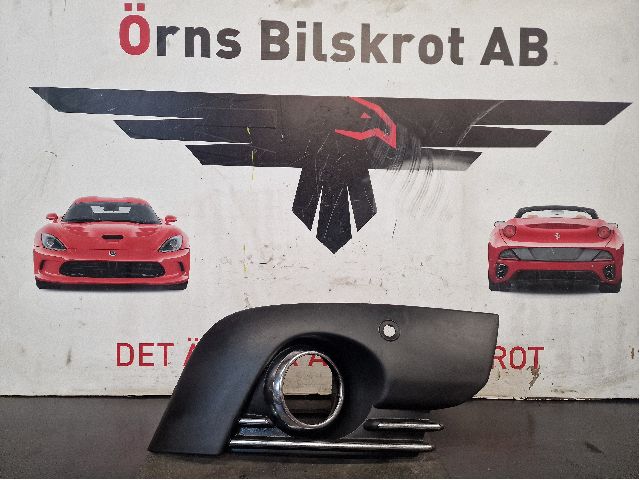 Fog light surround front