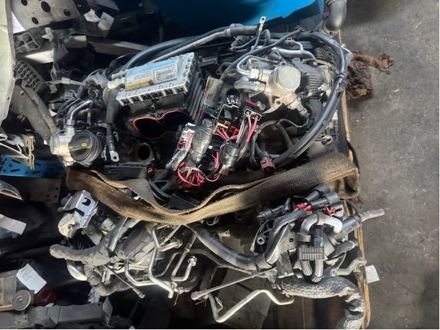 Engine petrol