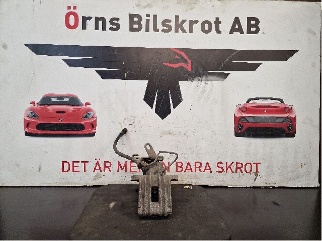 Jarrusatula taka oikea